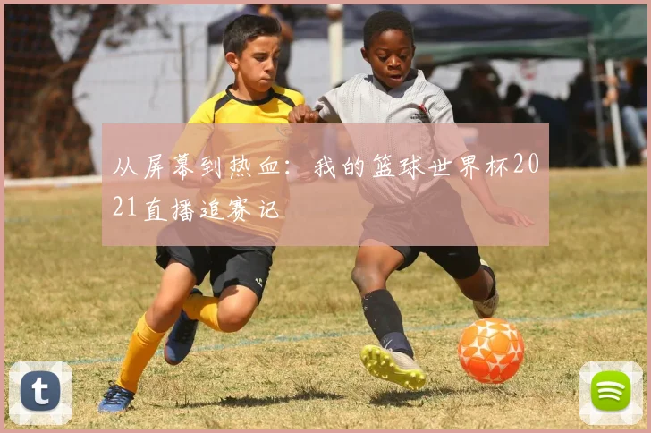 从屏幕到热血:我的篮球世界杯2021直播追赛记